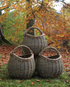 Forager's Basket
