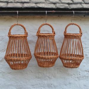 Egg Cage